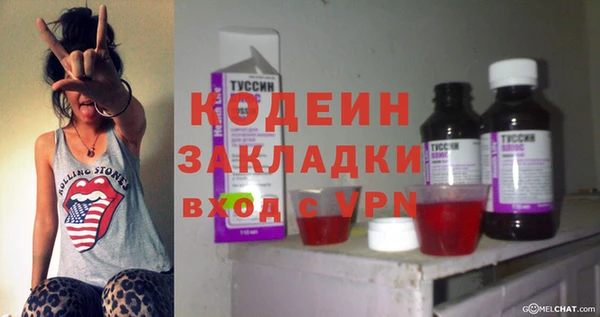 шишки Нягань