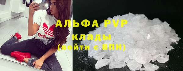 ПСИЛОЦИБИНОВЫЕ ГРИБЫ Осташков