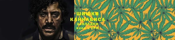 шишки Нягань