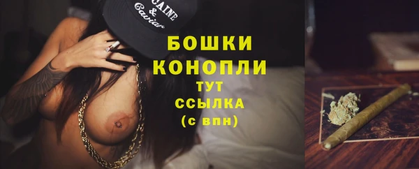 PSILOCYBIN Няндома