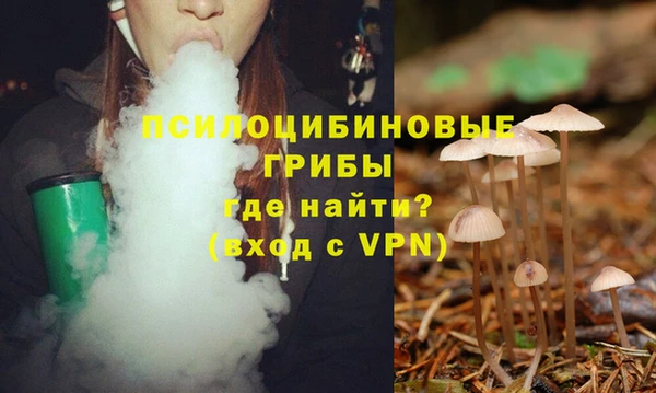 PSILOCYBIN Строитель
