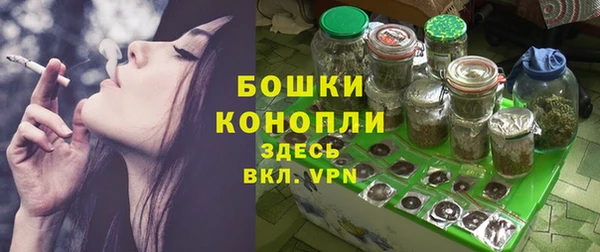PSILOCYBIN Няндома