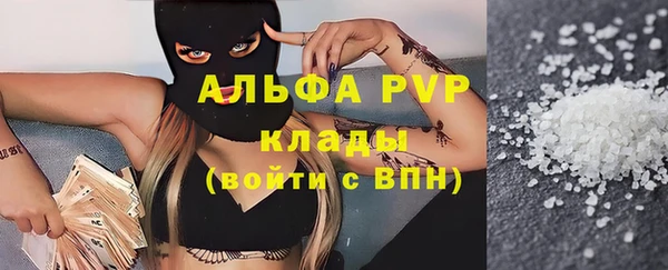 PSILOCYBIN Няндома