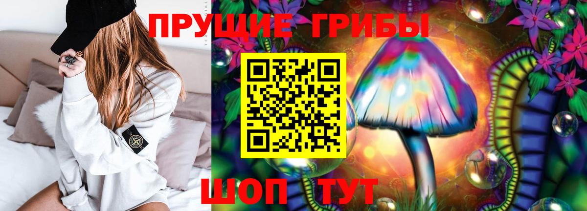 Псилоцибиновые грибы Psilocybine cubensis Кропоткин