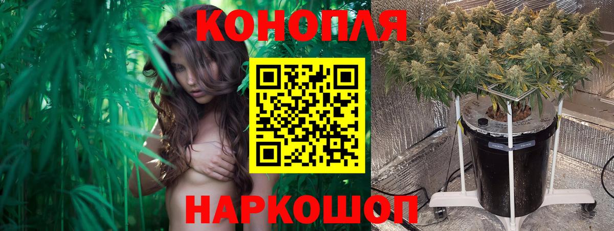 Бошки марихуана VHQ  Вход с VPN  Кропоткин  Бошки марихуана Ganja 